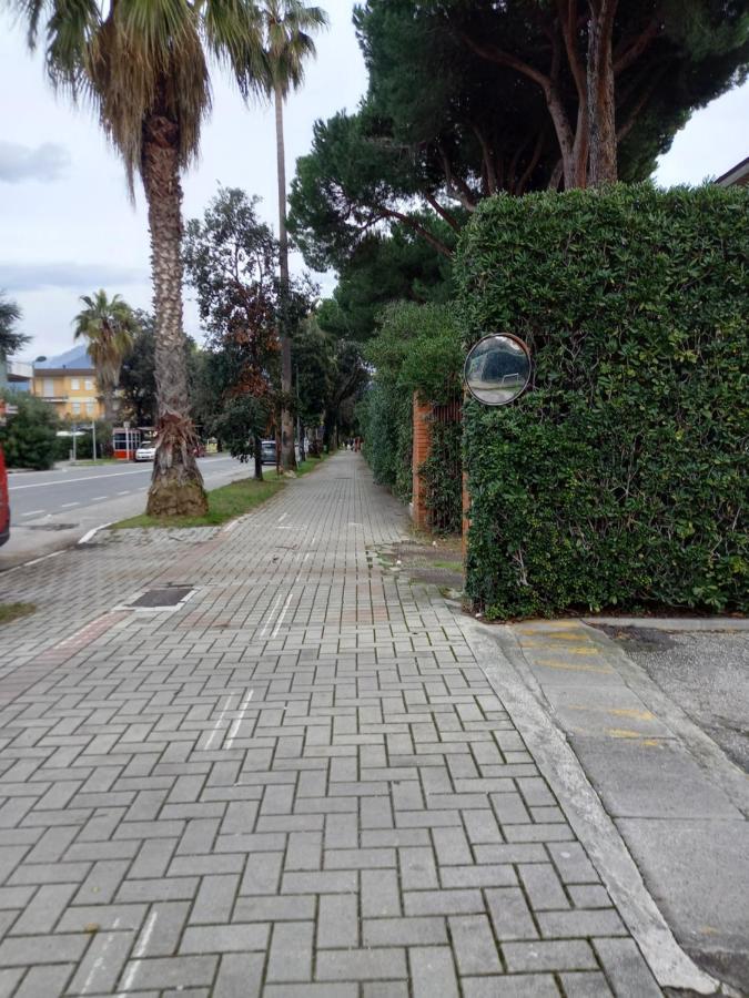 Bilocale Climatizzato A 850M Dalla Spiaggia Casa Katia Marina di Massa Ngoại thất bức ảnh