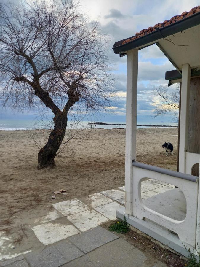 Bilocale Climatizzato A 850M Dalla Spiaggia Casa Katia Marina di Massa Ngoại thất bức ảnh