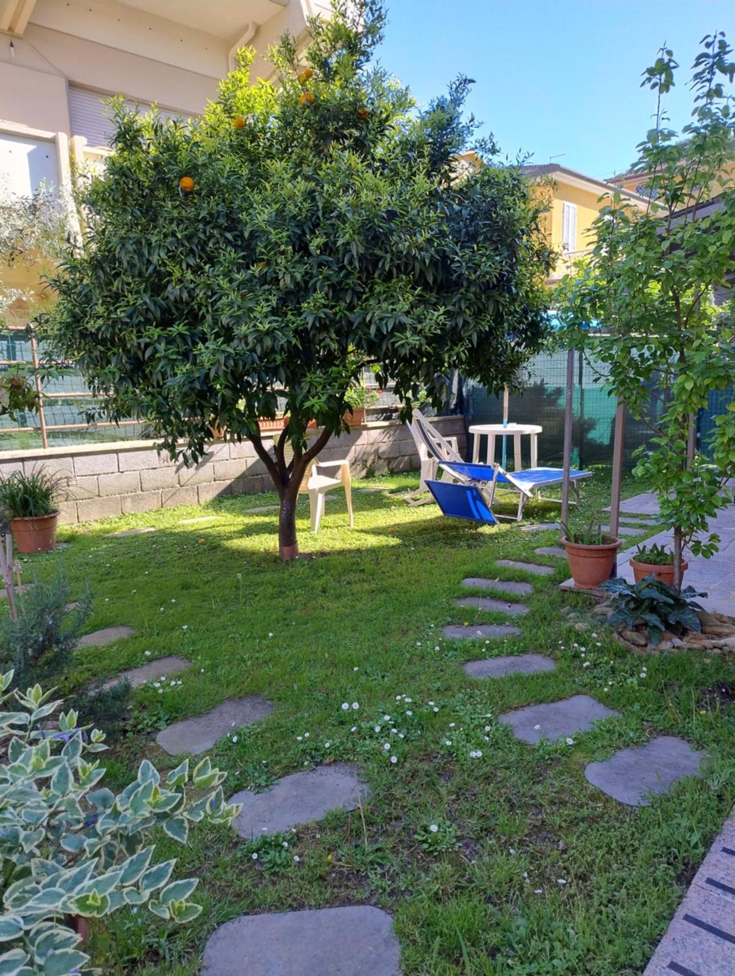 Bilocale Climatizzato A 850M Dalla Spiaggia Casa Katia Marina di Massa Ngoại thất bức ảnh